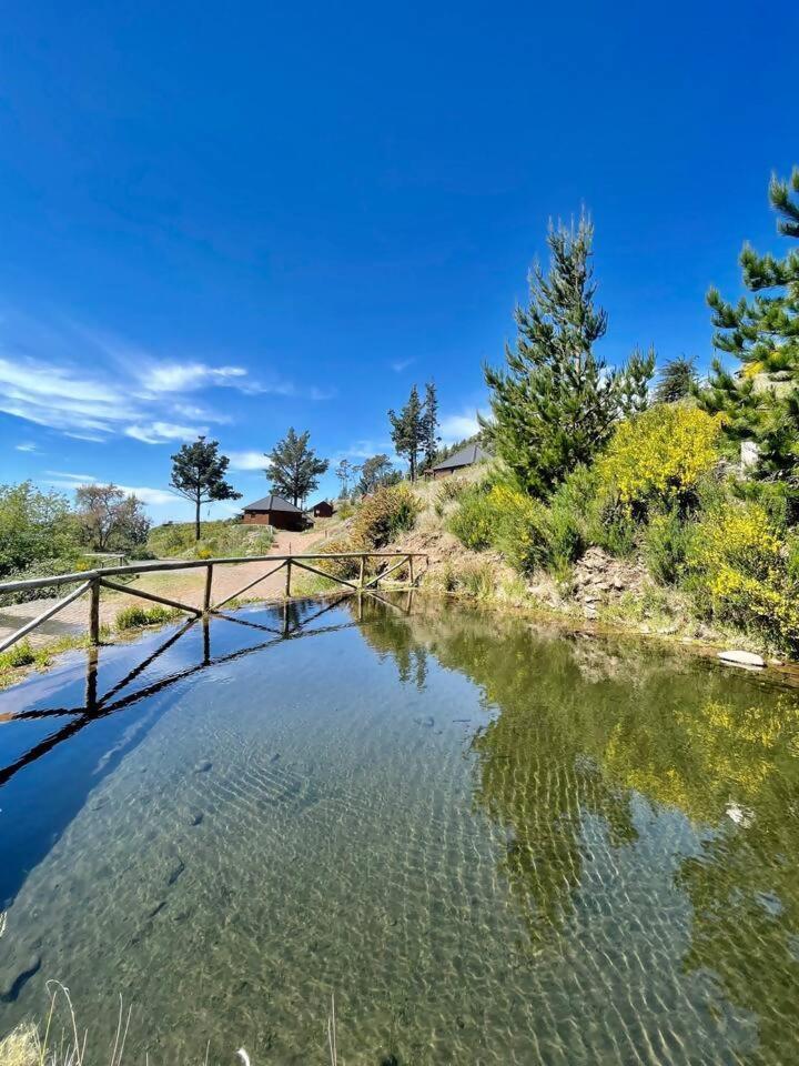 Hotel Mountain Eco Shelter 7 Funchal  Exterior foto